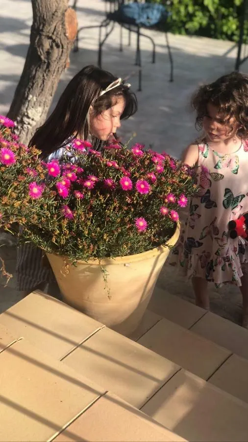 Trigona Garden Suite Ното Гостевой дом
